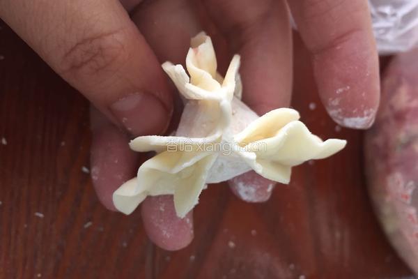 花样水饺的做法图解8