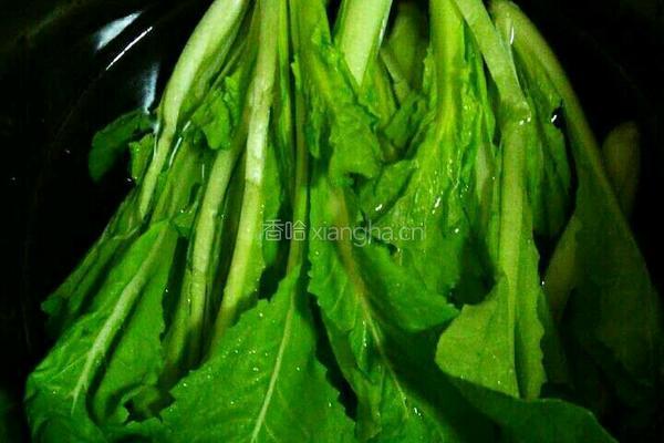 白灼小白菜的做法图解1