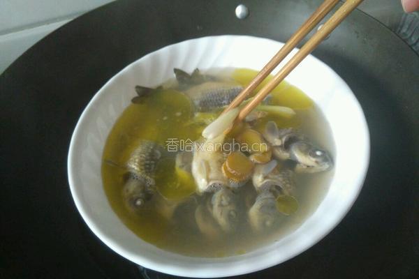 鲫鱼炖茶油的做法图解7