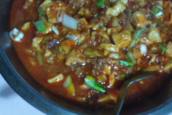 豆瓣辣豆腐的做法图解6
