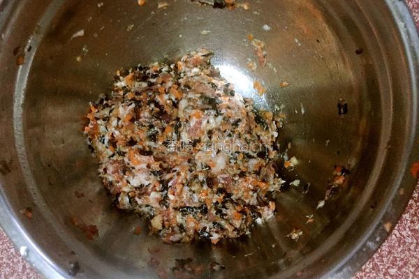 香煎猪肉饼的做法图解4