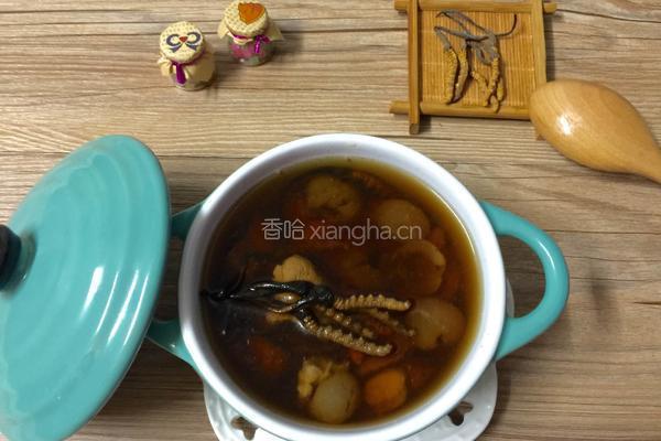 猪肉炖冬虫草的做法图解8