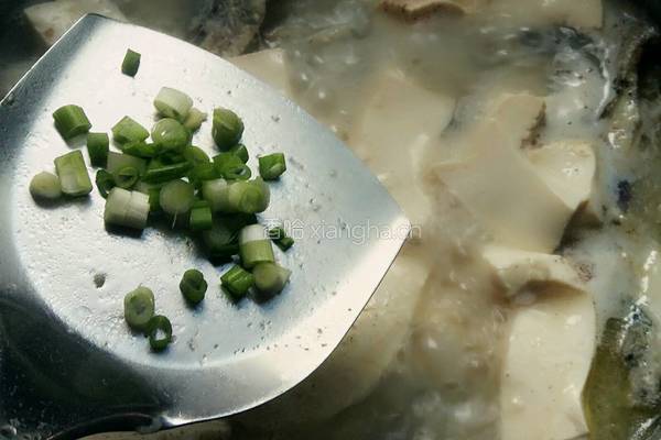 豆腐黑鱼汤的做法图解12