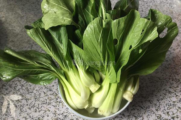 小炒青菜的做法图解1