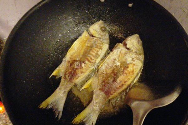 海鲫鱼豆腐菌菇汤的做法图解4