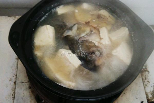 砂锅鱼头豆腐的做法图解5