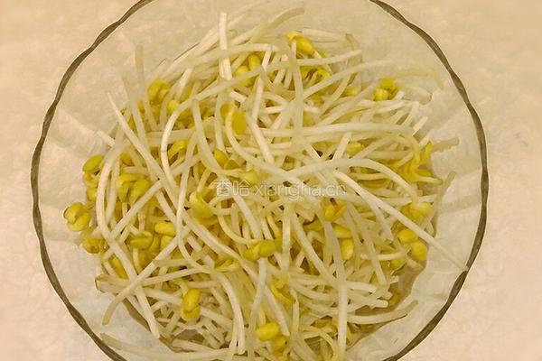 菠菜拌豆芽的做法图解1