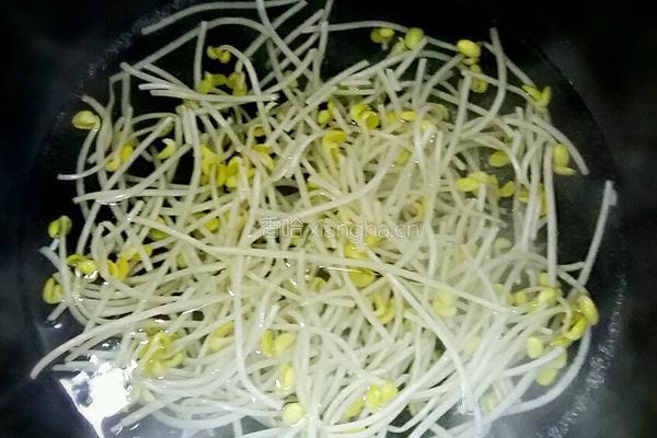 菠菜拌豆芽的做法图解3