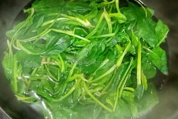 菠菜拌豆芽的做法图解4