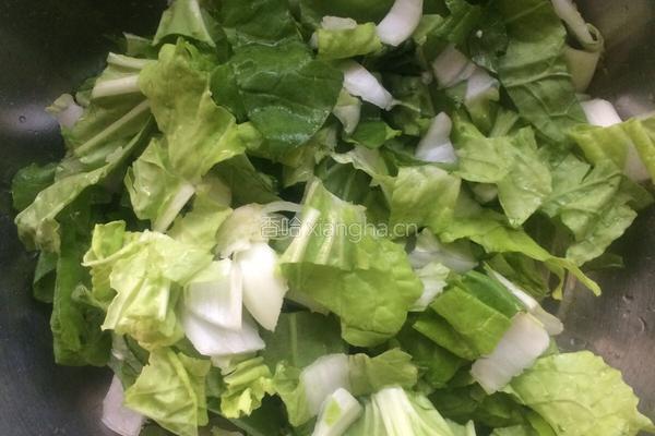 青菜炒菇的做法图解3
