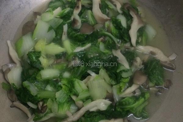 青菜炒菇的做法图解8
