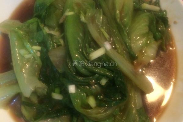 蚝油生菜
