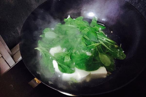 青菜豆腐汤的做法图解4