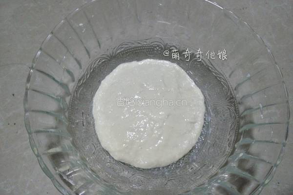 汉堡胚（波兰种poolish）的做法图解2