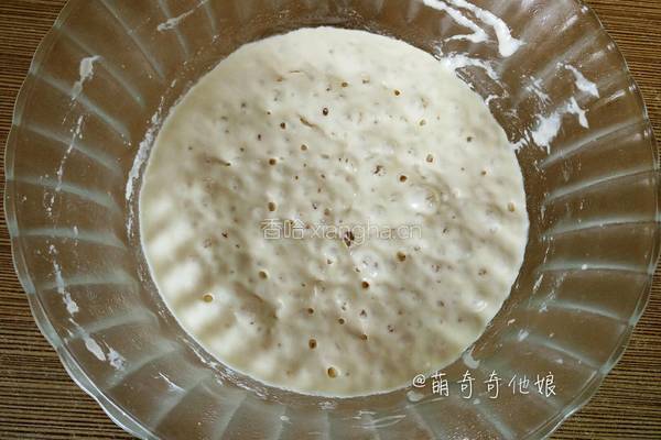 汉堡胚（波兰种poolish）的做法图解3