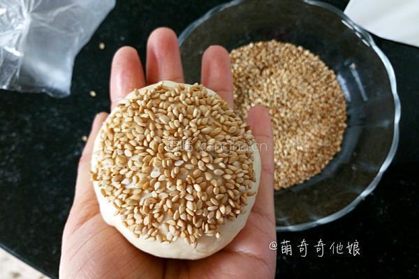 汉堡胚（波兰种poolish）的做法图解10