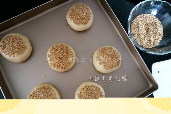 汉堡胚（波兰种poolish）的做法图解11