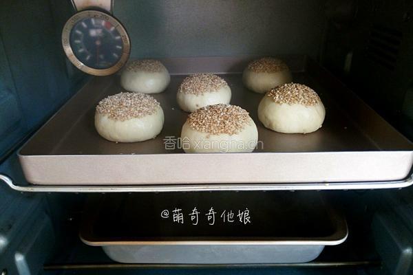汉堡胚（波兰种poolish）的做法图解12