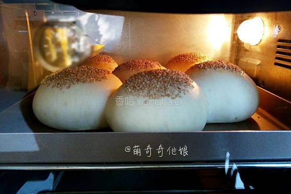 汉堡胚（波兰种poolish）的做法图解14