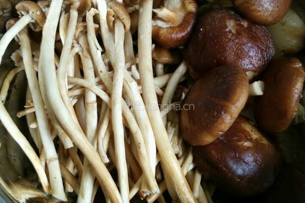 双菇烧肉的做法图解1