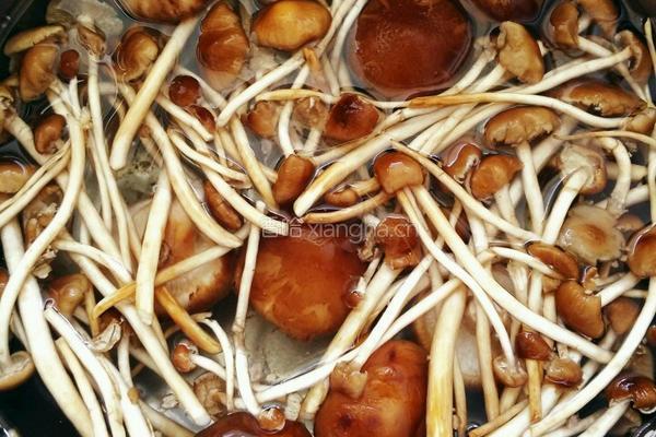 双菇烧肉的做法图解2