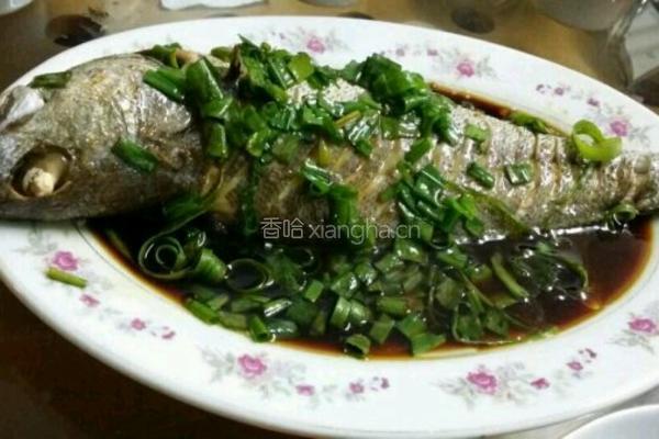 红烧鮸鱼的做法图解4