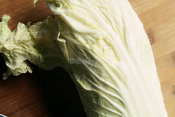 白菜萝卜猪肉包子馅的做法图解4