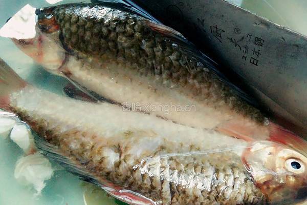 鲫鱼豆芽汤的做法图解1