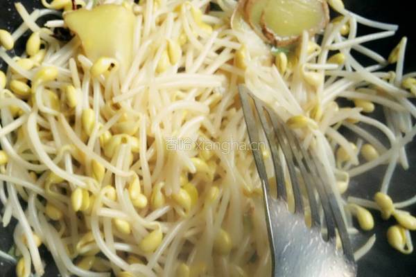 鲫鱼豆芽汤的做法图解10