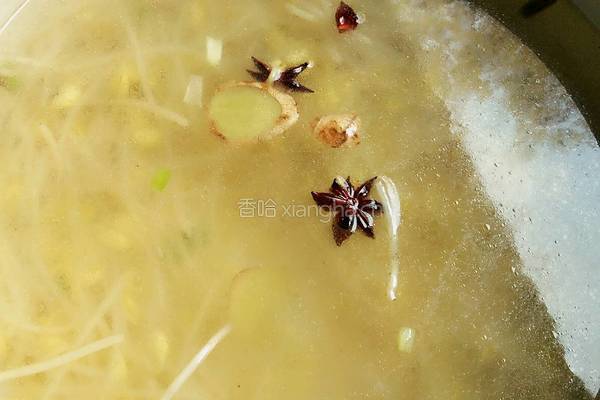 鲫鱼豆芽汤的做法图解11