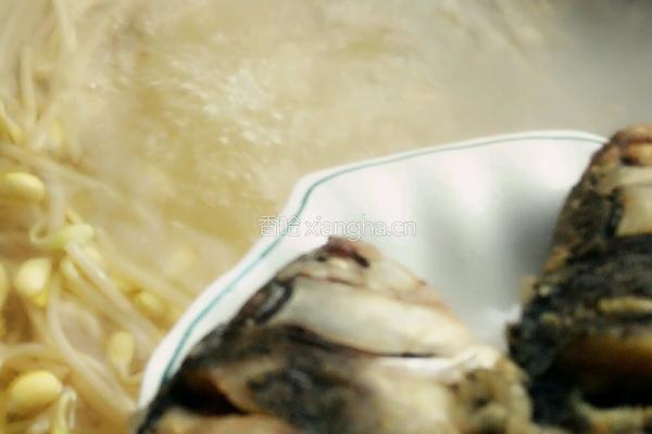 鲫鱼豆芽汤的做法图解12