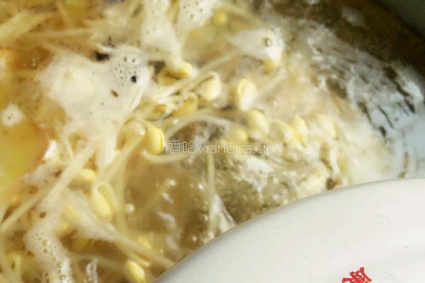 鲫鱼豆芽汤的做法图解13
