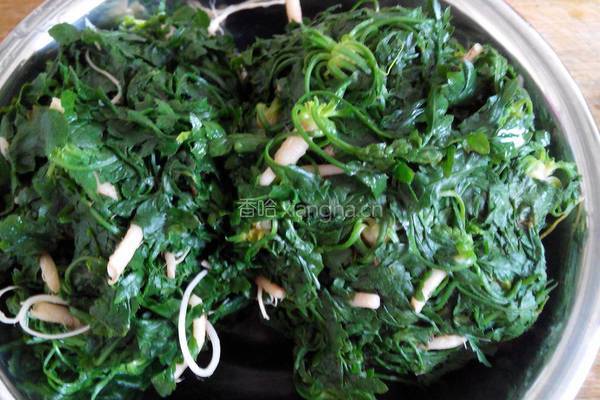 荠菜渣豆腐的做法图解3