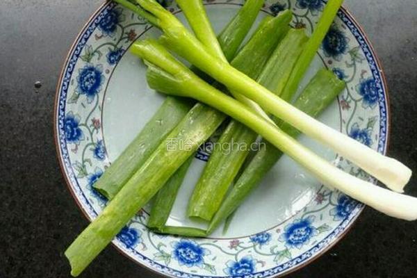 俄罗斯水饺的做法图解5
