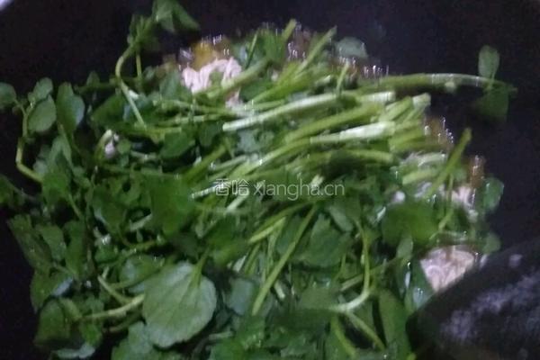 青菜鸡肉汤面的做法图解6