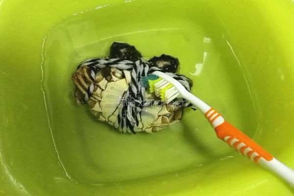 清蒸螃蟹的做法图解2