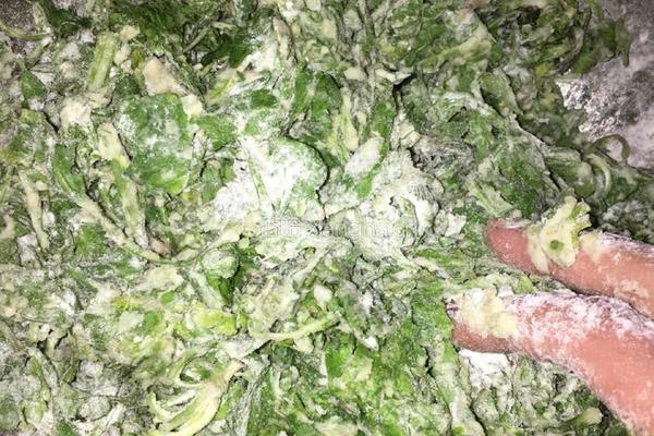 蒸荠菜的做法图解4