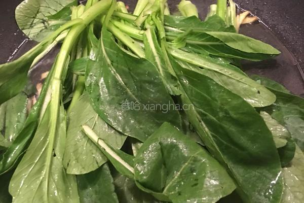 盐水菜心的做法图解5