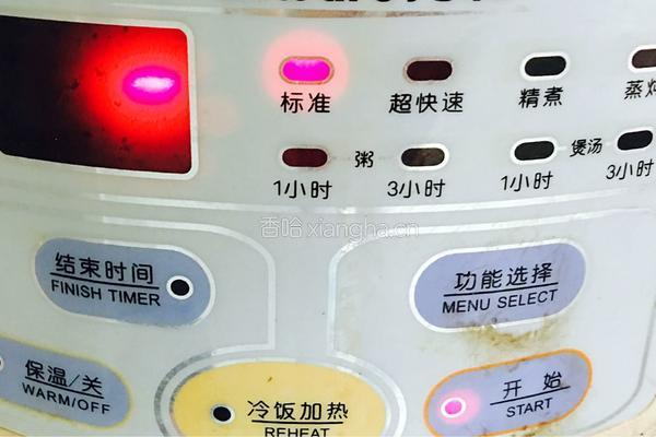 电饭锅焗鸡的做法图解5