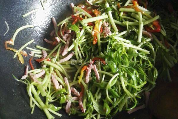 咸肉丝炒藜蒿的做法图解6