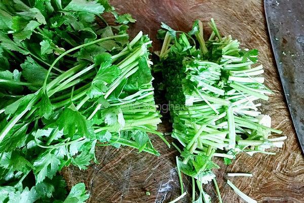芹菜扒豆腐（家常版）的做法图解4
