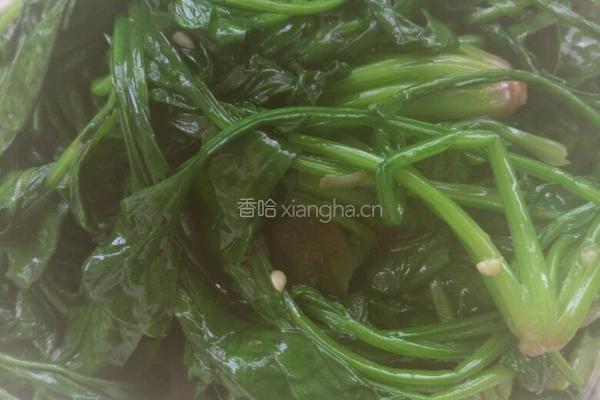 清炒菠菜的做法图解4