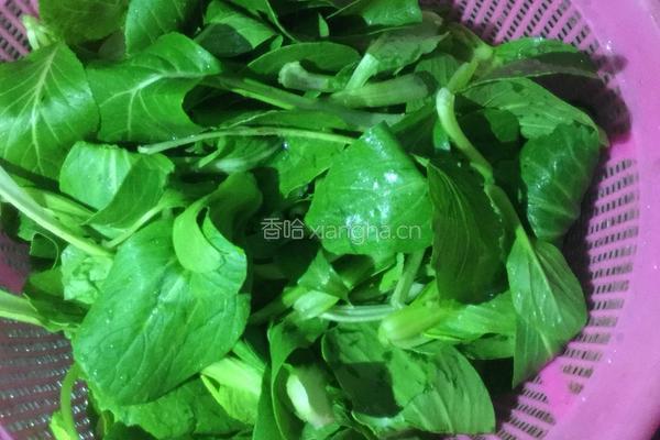 腐竹炒油菜的做法图解1