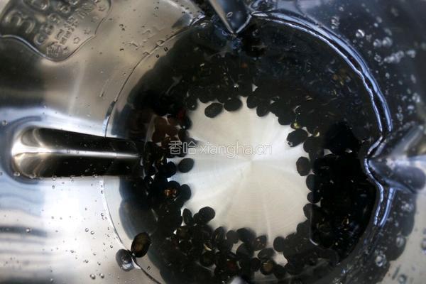 黑豆豆浆的做法图解3
