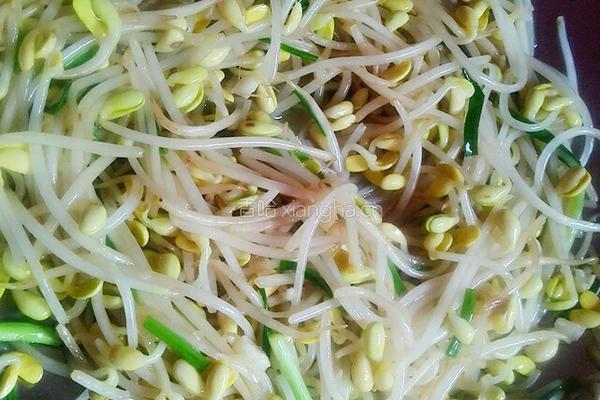 素炒豆芽的做法图解5
