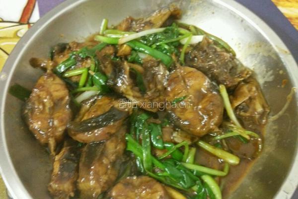 酱香鲶鱼的做法图解8