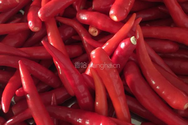 蒜蓉辣椒酱的做法图解1