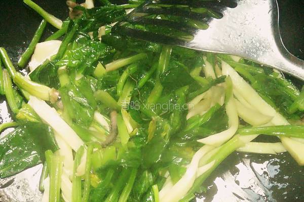 杏鲍菇炒菠菜的做法图解5