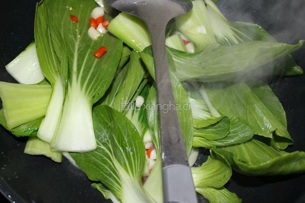 家常炒青菜的做法图解4