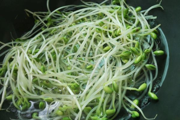凉拌豆芽的做法图解2